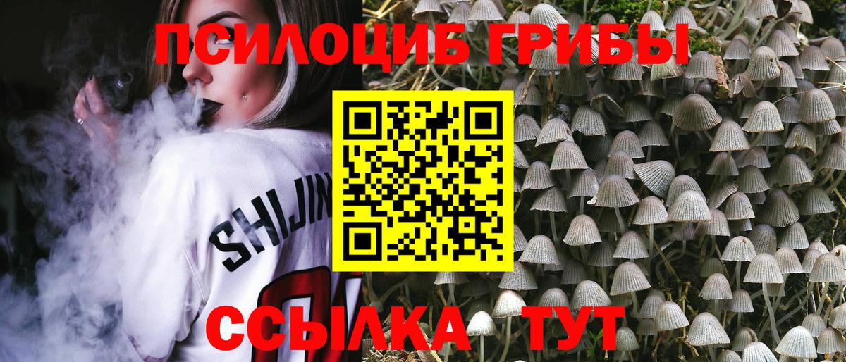 Псилоцибиновые грибы MAGIC MUSHROOMS Новодвинск