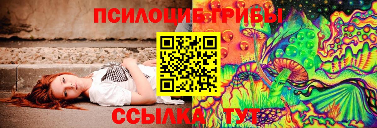 Галлюциногенные грибы ЛСД  Новодвинск  Псилоцибиновые грибы MAGIC MUSHROOMS 