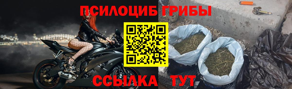 Галлюциногенные грибы ЛСД  Вход с VPN  Новодвинск 